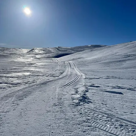 Feriehus Old Vibe, Perfect For Families Or Couples